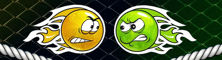 Ligue internationale de MMA